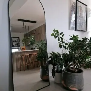 Arch Mirror with Black Thin Frame