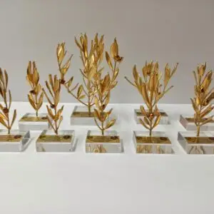 Corporate Gift - Real Olive Leaves