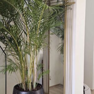 Metallic mirror with gold frame design