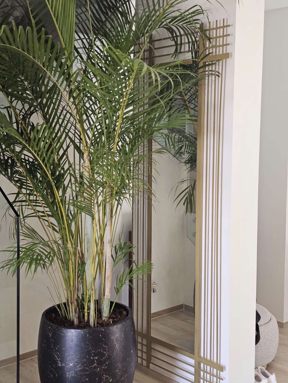 Metallic mirror with gold frame design